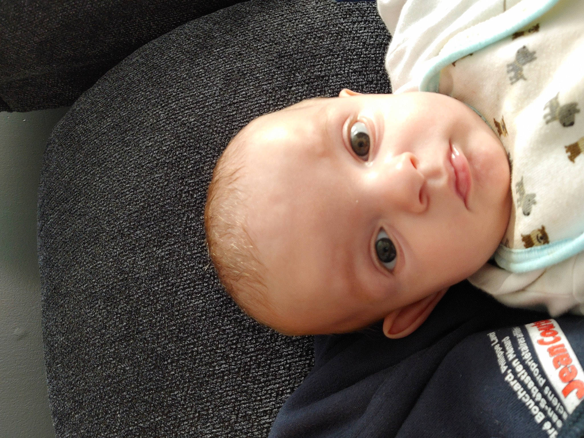 Michael participe au concours pour gagner de l'argent avec cette photo : baby, baby_toddler_clothing, cheek, child, eye, eyebrow, eyelash, face, flash_photography, forehead, happy, head, human_body, iris, lip, nose, pattern, person, skin, sleeve