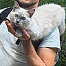 Bishop a rejoint le concours — aidez-le/la à gagner de superbes lots ! animal, arm, backpack, beard, blue_eyes, cat, close_up, curious, cute, fluffy, greenery, hand, nature, outdoor, person, pet, portrait, resting, white_fur, young_cat
