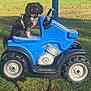 dog, black_dog, harness, toy_tractor, blue_toy, grass, outdoor, sunlight, park, pet, animal, playground, plastic, wheels, small_vehicle, sitting, cute, daytime, shadow, nature