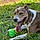 Maisy