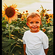 Ryder joined the competition — help win amazing prizes! child, boy, sunflower, field, outdoor, nature, smile, sunlight, portrait, plants, greenery, white_tshirt, young, happy, summer, flora, golden_hour, standing, casual_clothing, daylight