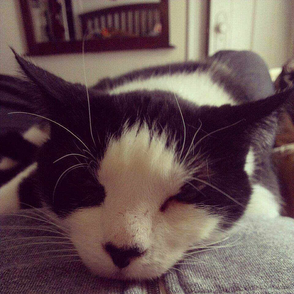 Frank