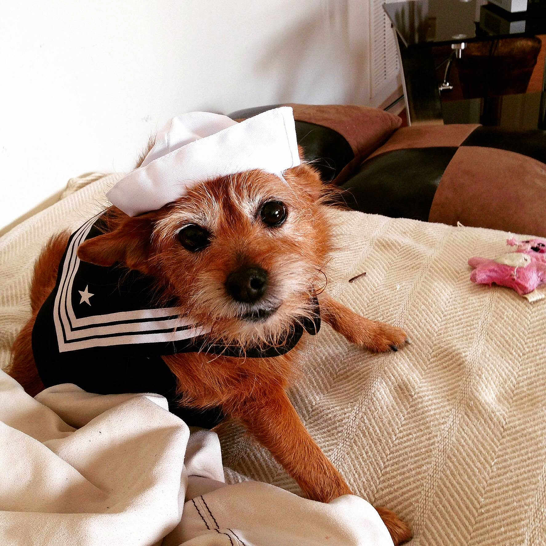 Daisy Penelope Vanpeebles