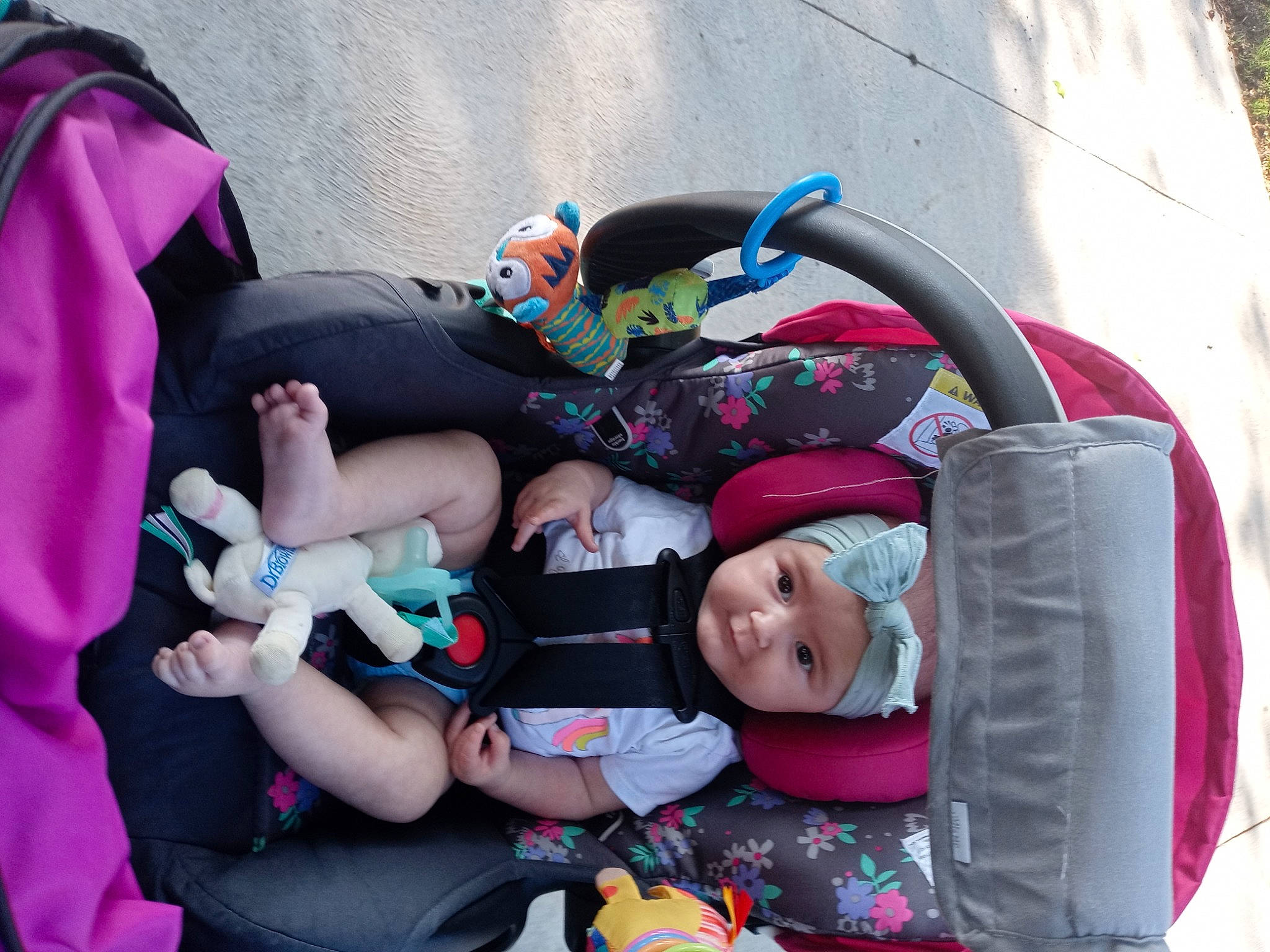 Bailee is registered to the contest to win money with this photo: baby, baby_carriage, baby_products, baby_toddler_clothing, car_seat, child, comfort, event, fun, headwear, lap, leisure, people, person, pink, plant, product, purple, recreation, toddler