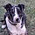 Fréya