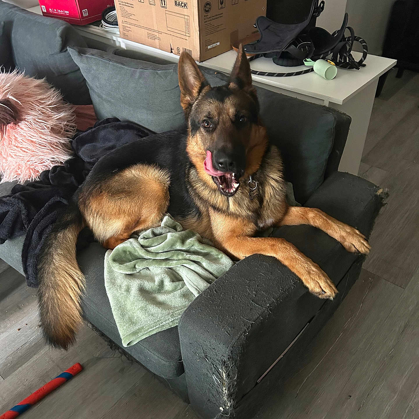 Roscoe