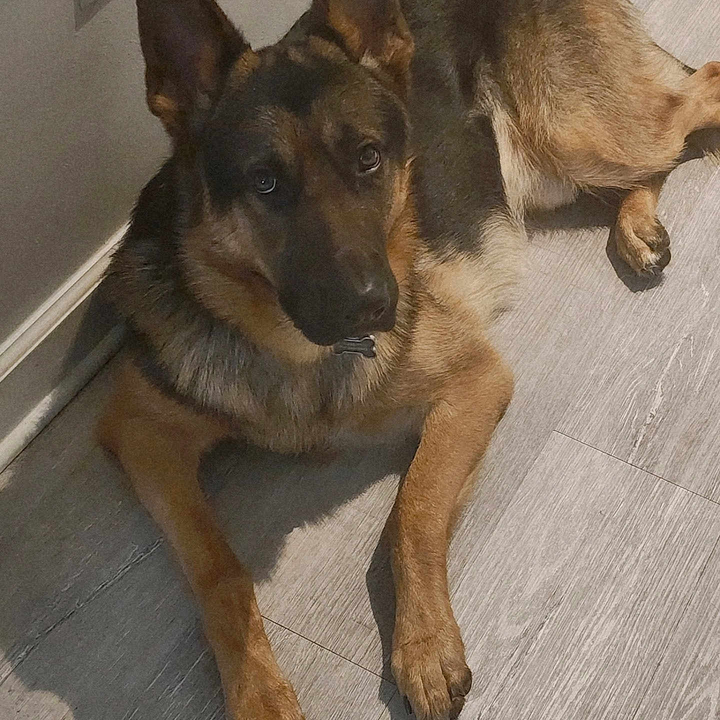 Roscoe