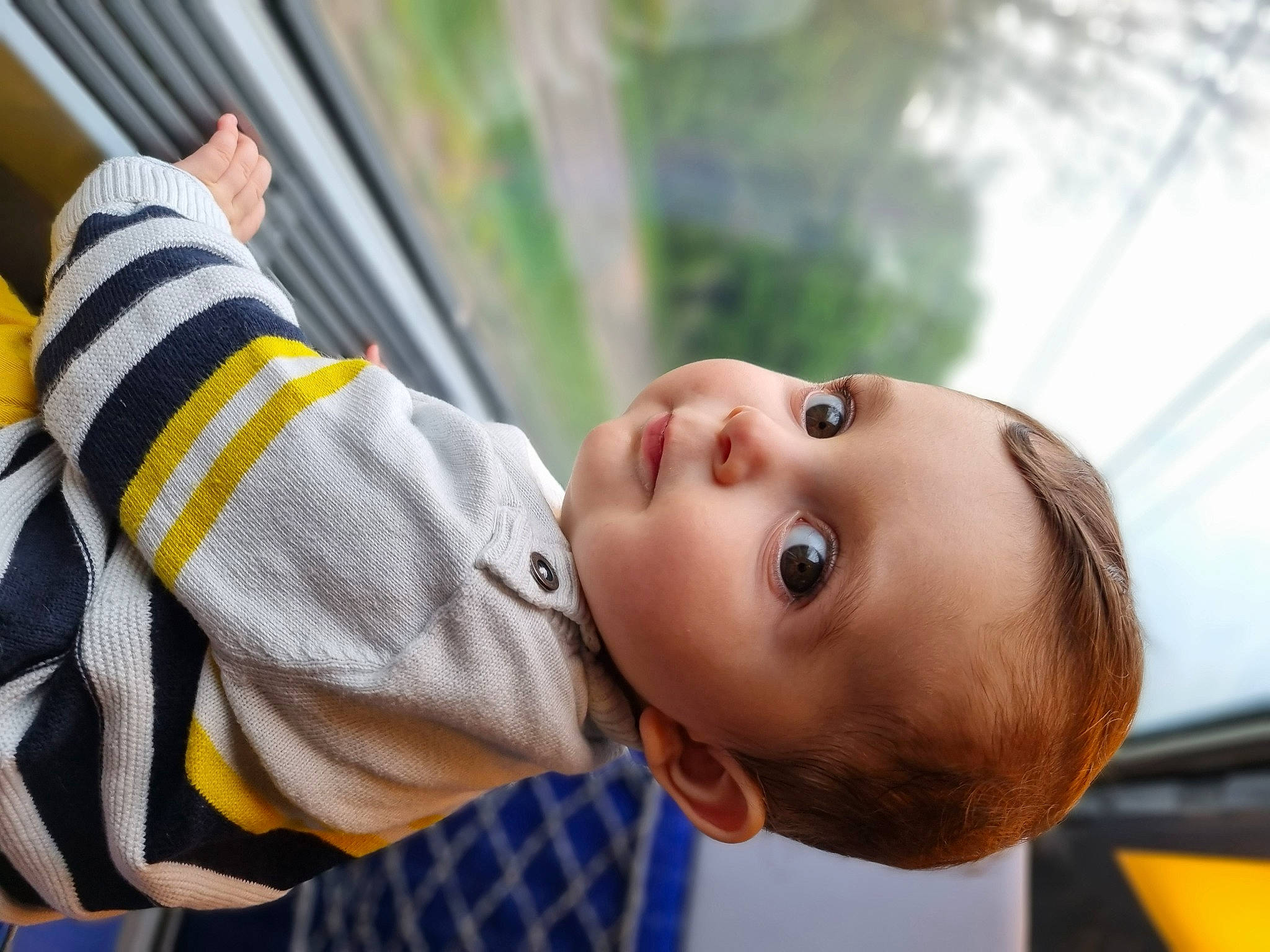 Lenny a rejoint le concours — aidez-le/la à gagner de superbes lots ! baby, baby_toddler_clothing, cheek, child, eyelash, fun, grass, happy, leisure, mammal, nose, pattern, person, plant, portrait_photography, recreation, smile, toddler, tree, window
