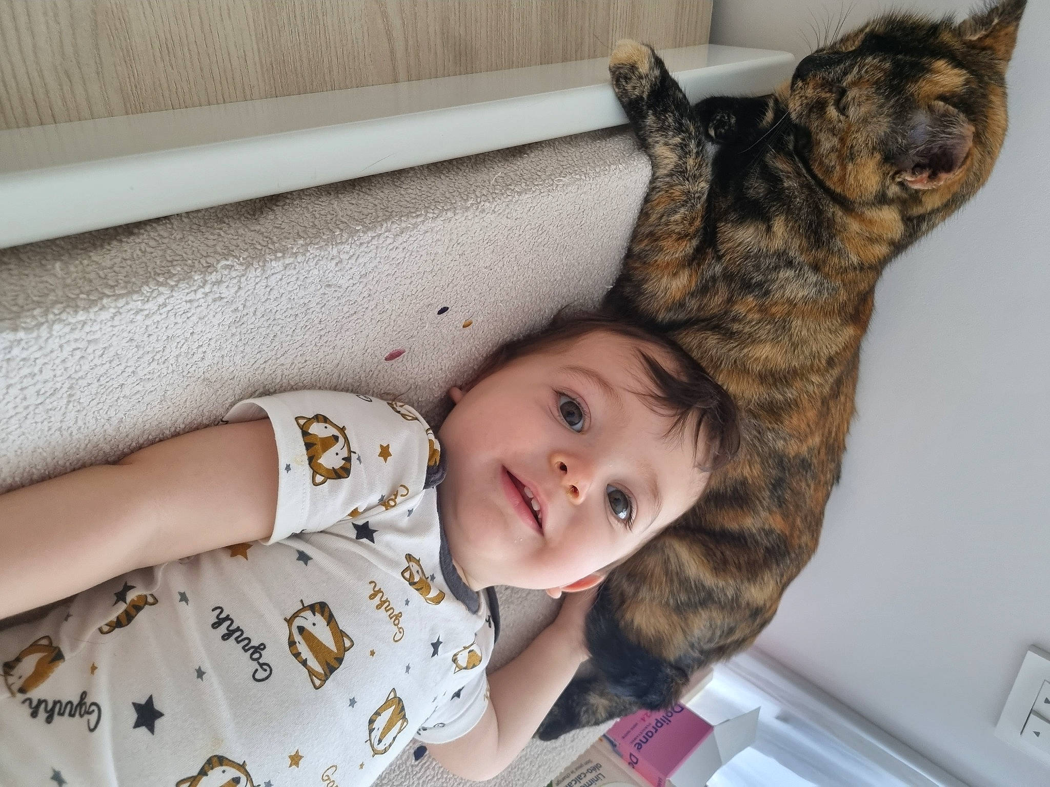 Lenny participe au concours pour gagner de l'argent avec cette photo : baby_toddler_clothing, carnivore, cat, child, comfort, domestic_short_haired_cat, facial_expression, felidae, fur, happy, mammal, person, sitting, skin, sleeve, small_to_medium_sized_cats, smile, snout, toddler, vertebrate
