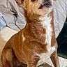 Abby is registered to the contest to win money with this photo: