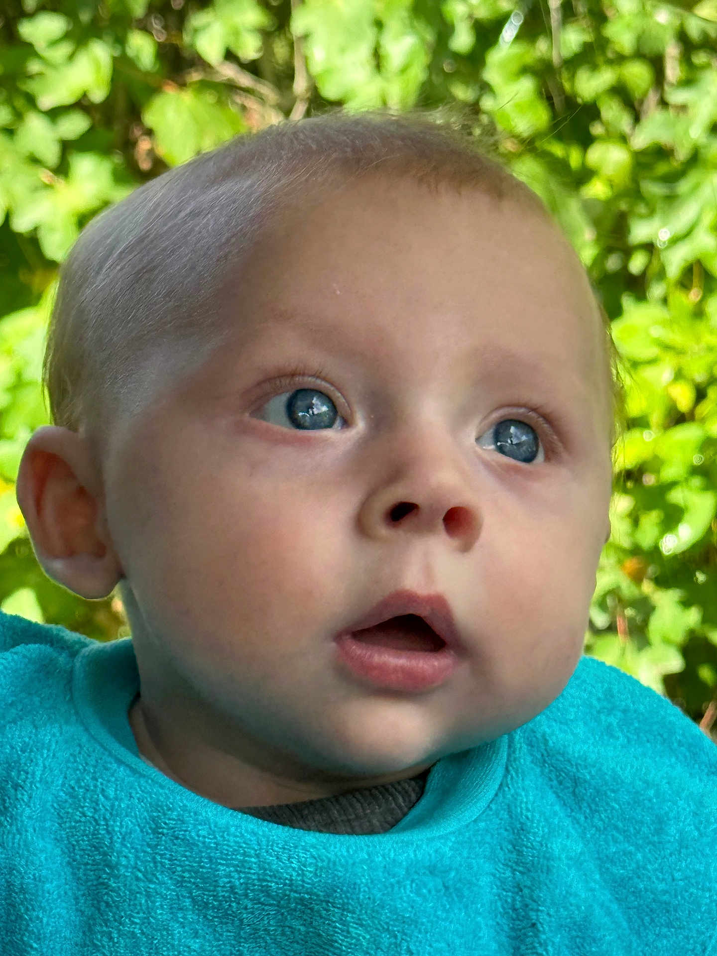 Jesse joined the competition — help win amazing prizes! baby, blue_eyes, face, child, curious, expression, infant, innocence, outdoor, portrait, skin, young, head, clothing, closeup, person, cute, baby_bib, background, nature