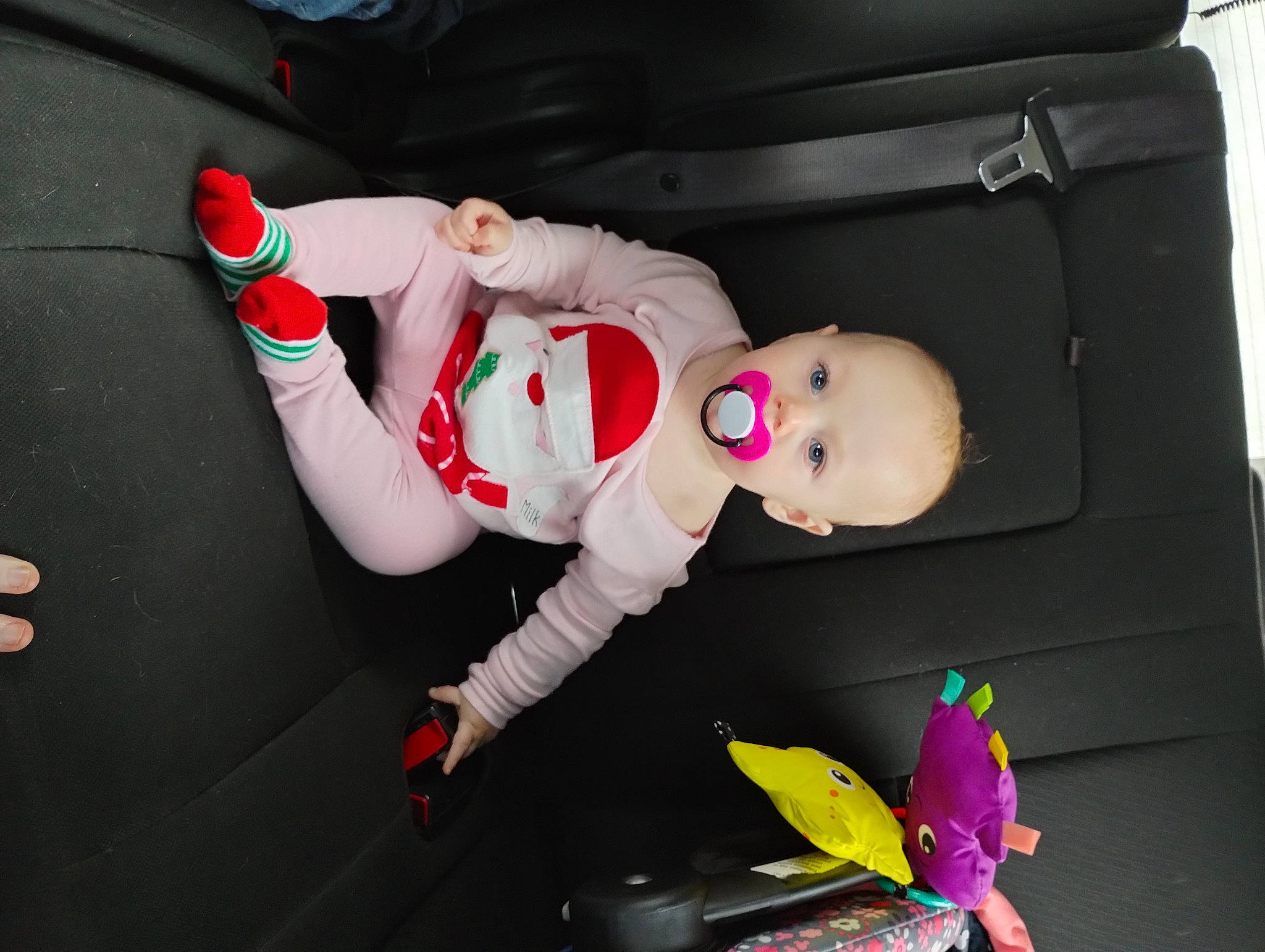 Rose Marie Hale is registered to the contest to win money with this photo: auto_part, baby, baby_carriage, baby_products, baby_toddler_clothing, baby_toys, car_seat, carmine, child, comfort, fun, lap, magenta, person, product, room, stuffed_toy, toddler, toy