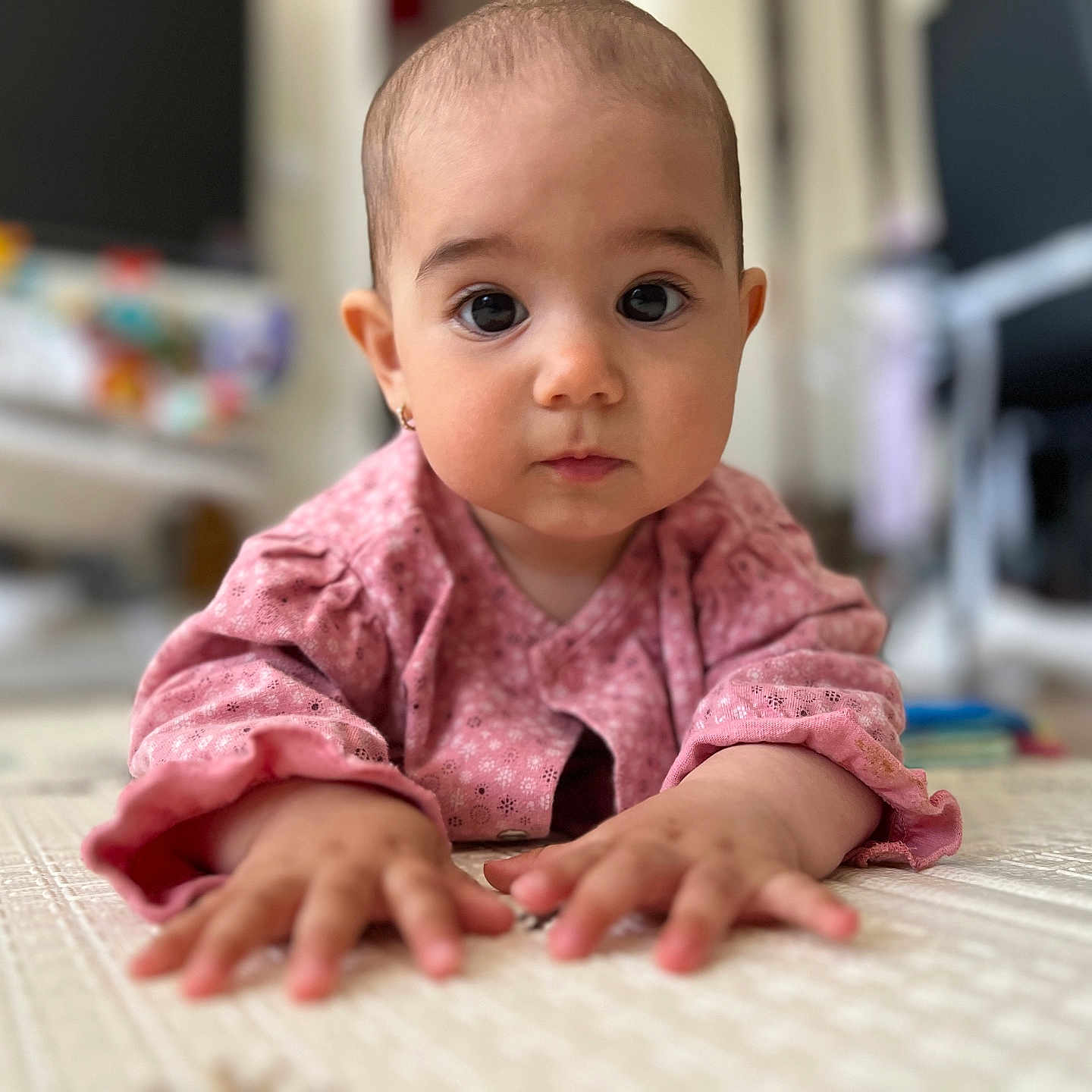 Gloria