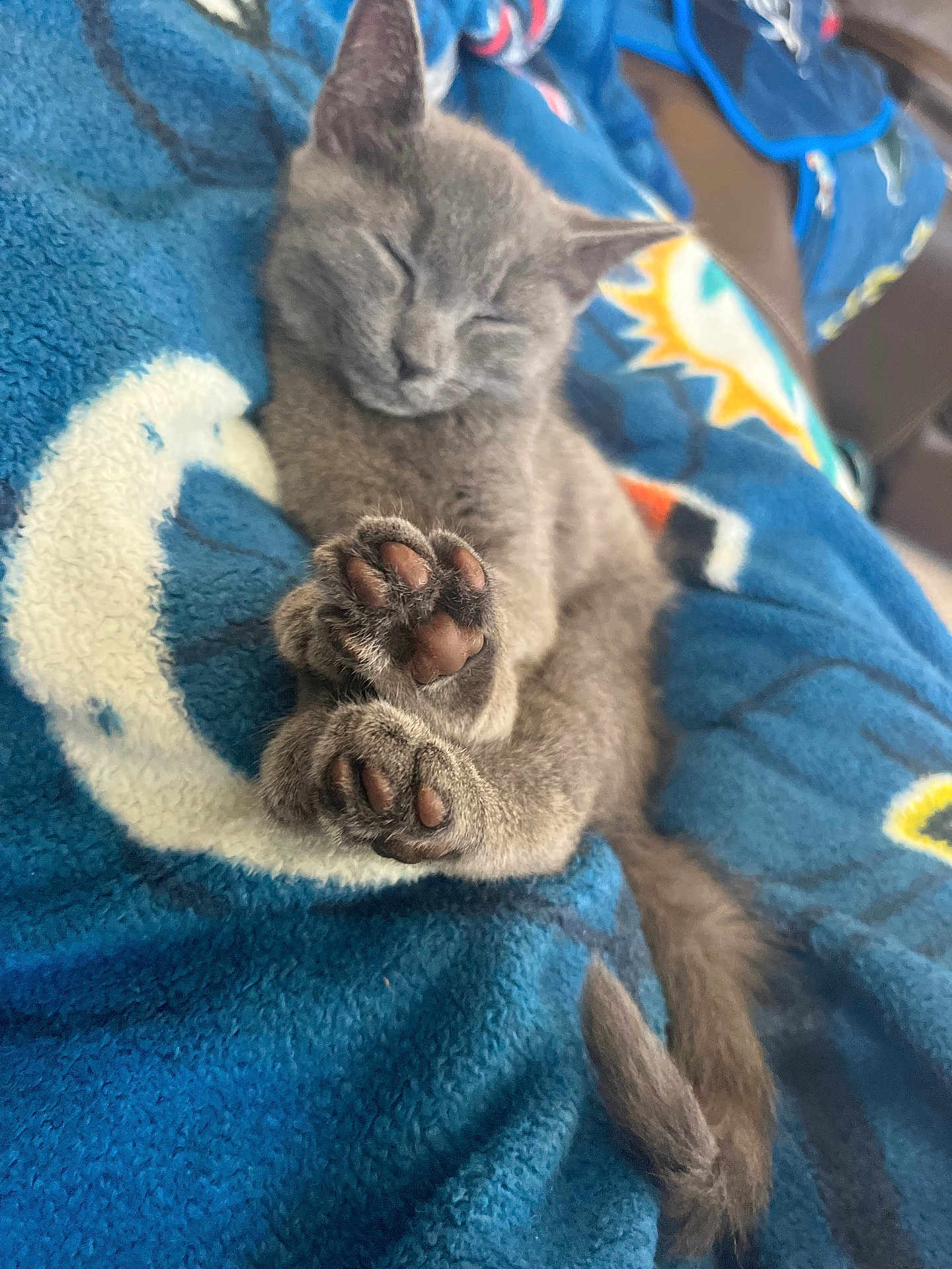 Luna