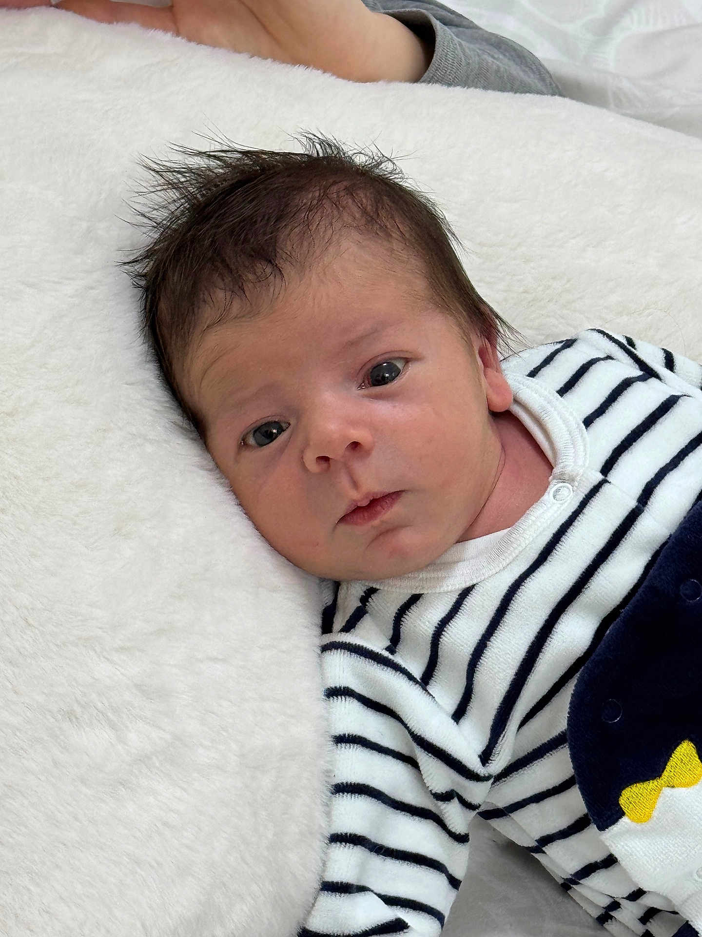 élyo participe au concours pour gagner de l'argent avec cette photo : baby, infant, face, eyes, hair, striped_clothing, onesie, penguin_design, lying_down, white_background, soft_texture, newborn, portrait, cute, child, person, skin, head, expression, indoors