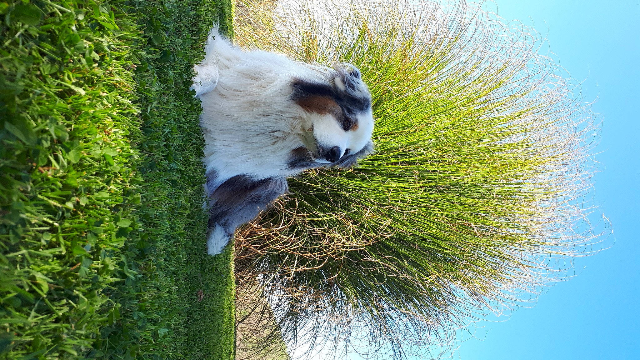 Icko a rejoint le concours — aidez-le/la à gagner de superbes lots ! beak, feather, fur, grass, lemur, plant, plant_stem, primate, sky, snout, tail, terrestrial_animal, tree, trunk, twig, whiskers, wildlife, woody_plant