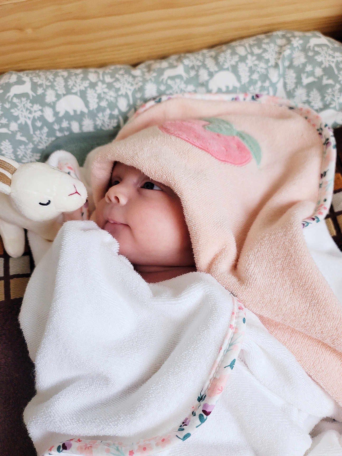 Esmée participe au concours pour gagner de l'argent avec cette photo : baby, towel, hood, plush_toy, bunny, face, infant, blanket, pattern, animal_print, cute, soft_texture, gaze, child, bed, rest, comfort, pink, white, portrait