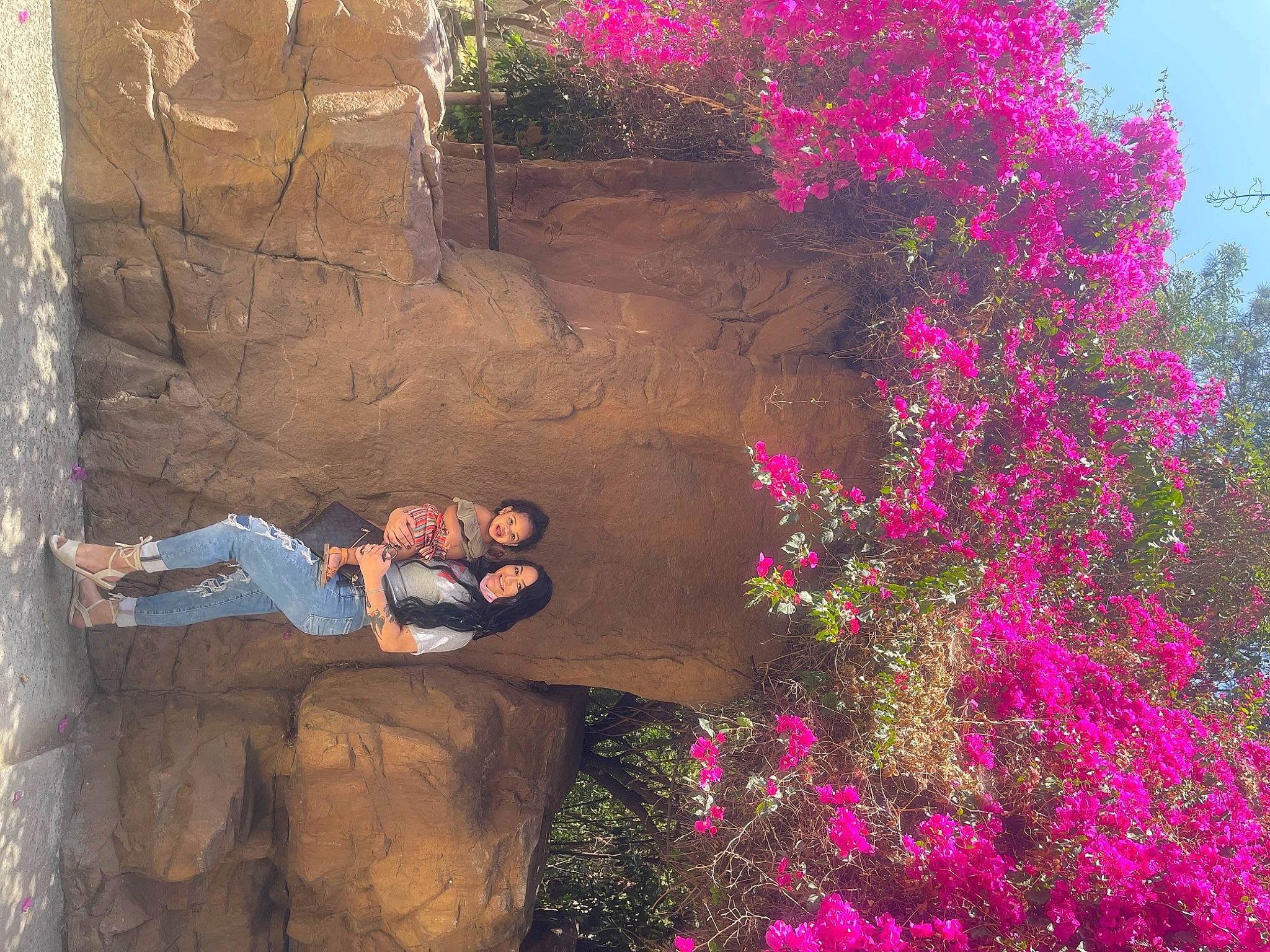 Renee joined the competition — help win amazing prizes! annual_plant, bedrock, blossom, bougainvillea, branch, flower, flowering_plant, grass, joy, landscape, leisure, magenta, people_in_nature, person, petal, plant, shrub, tints_and_shades, tree, trunk