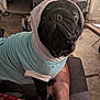 Eclipse is registered to the contest to win money with this photo: dog, pug, hoodie, clothing, pet, black_dog, indoor, living_room, couch, person, leg, furniture, table, cozy, cute, animal, pet_clothes, home, relaxed, companion