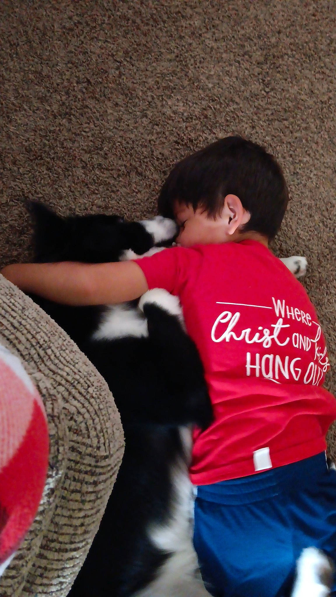 Eric joined the competition — help win amazing prizes! child, felidae, fun, fur, gesture, grass, happy, hug, human_leg, leisure, linens, magenta, person, play, recreation, sitting, soil, sportswear, t_shirt, wool