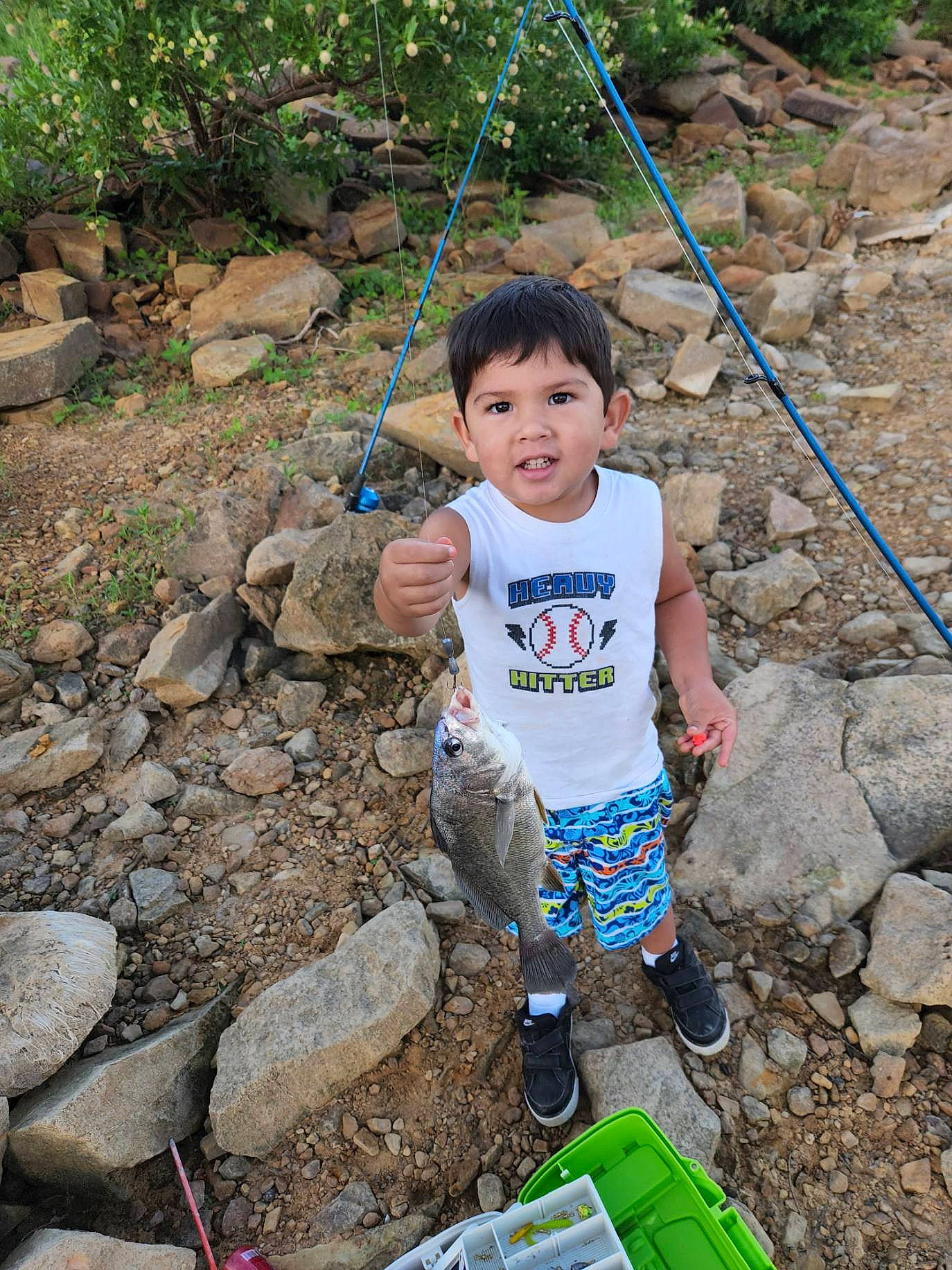 Eric is registered to the contest to win money with this photo: adventure, bedrock, child, fun, garden, grass, green, jungle, landscape, leisure, person, plant, play, recreation, rock, rope, shorts, soil, t_shirt, toddler