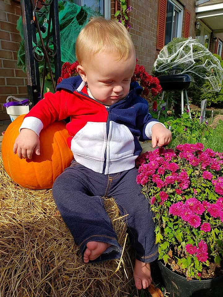 Ledger is registered to the contest to win money with this photo: annual_plant, baby_toddler_clothing, calabaza, flower, flowerpot, grass, green, groundcover, lawn, people_in_nature, person, petal, plant, pumpkin, red, shrub, summer, toddler, tree, window