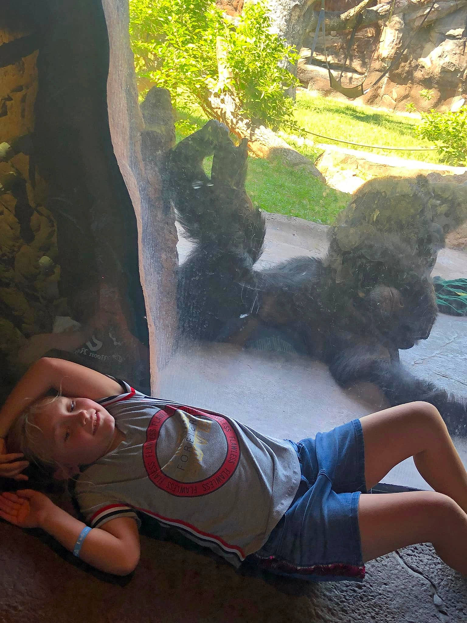 Laylah is registered to the contest to win money with this photo: arm, cool, fawn, fun, grass, human_leg, knee, lawn_ornament, leg, leisure, long_hair, person, plant, recreation, sunlight, temple, thigh, tree, trunk, wood