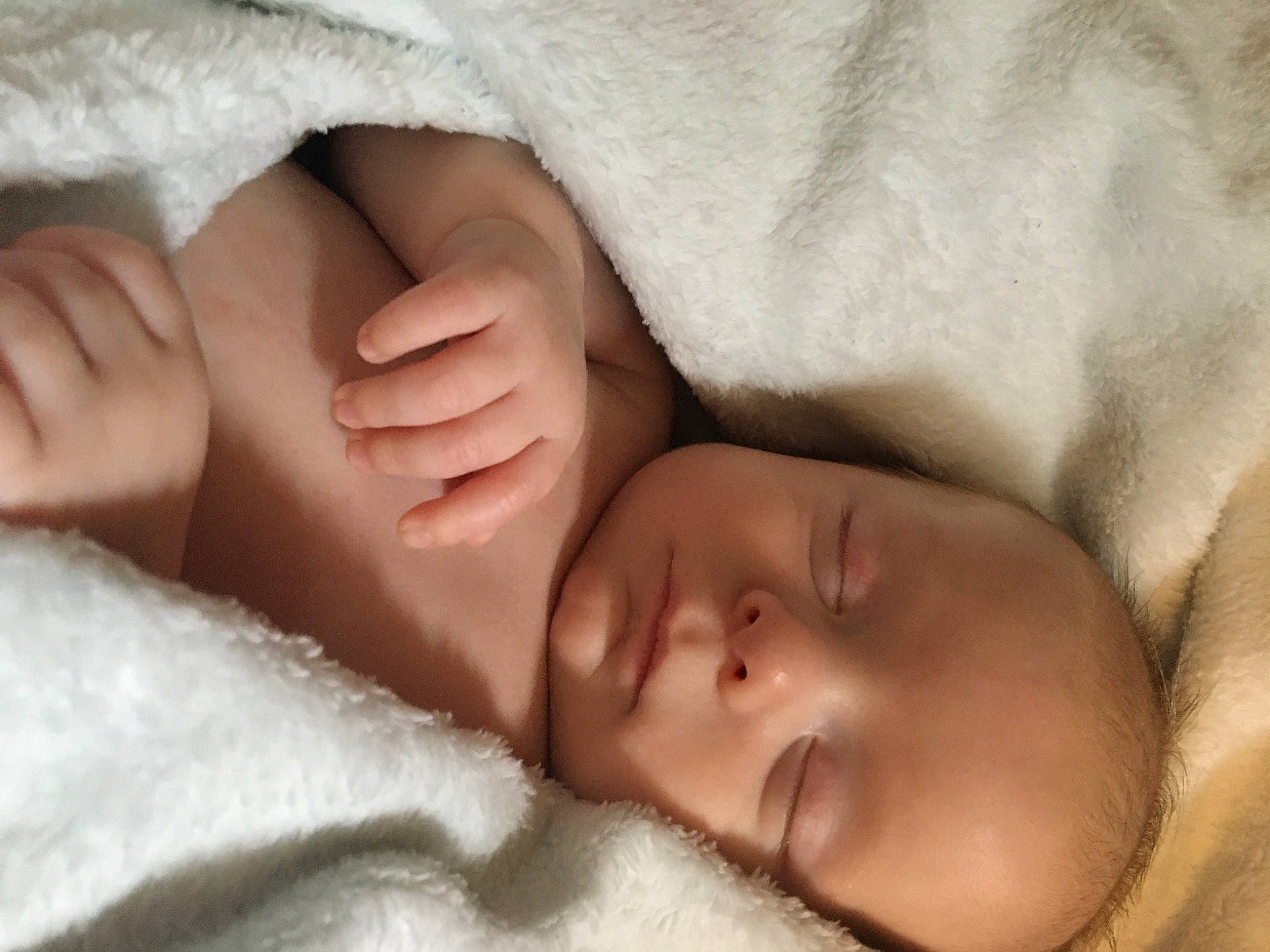 Loki joined the competition — help win amazing prizes! art, baby, baby_sleeping, bedtime, child, close_up, comfort, eyelash, finger, foot, fur, gesture, hand, human_leg, linens, nail, nose, person, skin, thumb