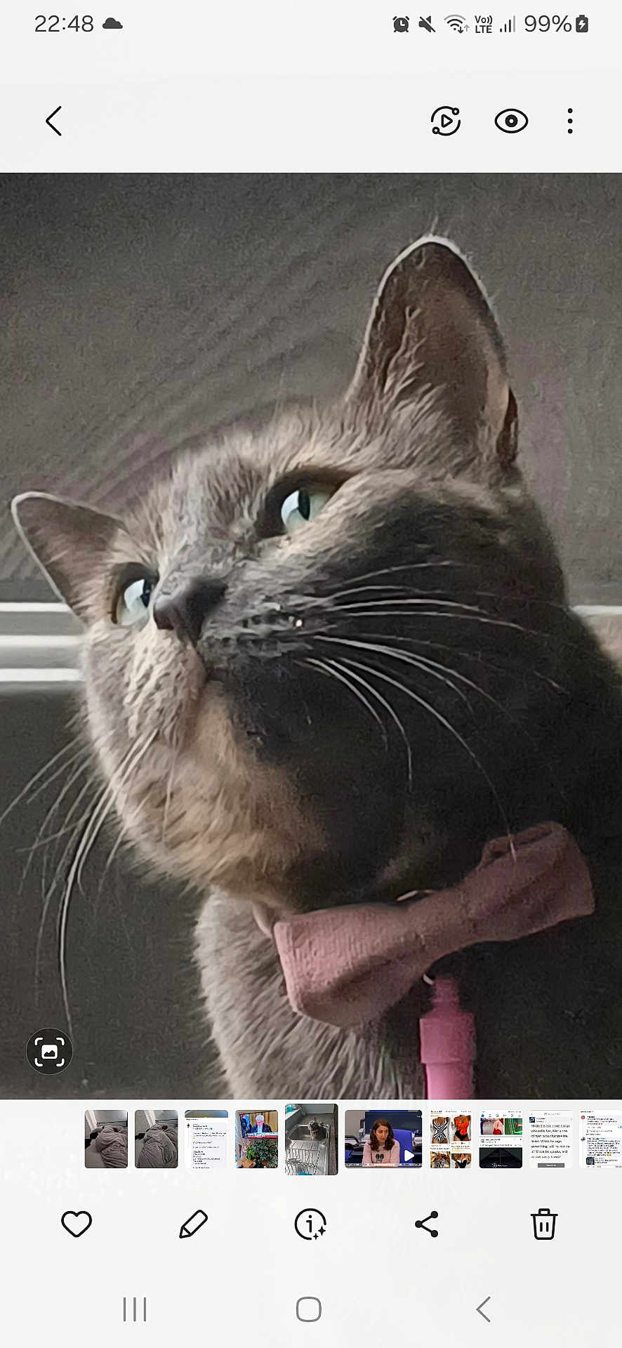 Millie