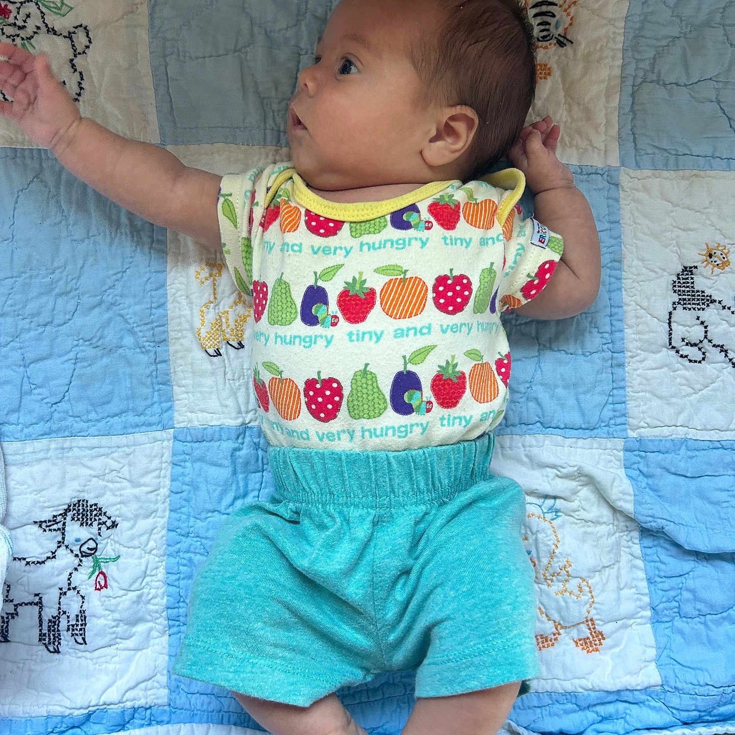 Aiden is registered to the contest to win money with this photo: applique, baby, bed, blanket, clothing, crib, cushion, face, furniture, head, homedecor, infantbed, pants, pattern, person, photography, portrait, quilt, shorts, t_shirt