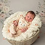 baby, newborn, infant, sleeping, soft, fluffy, blanket, wooden_bowl, cozy, portrait, flower_petals, pastel, cute, child, peaceful, indoor, studio, clothing, face, head