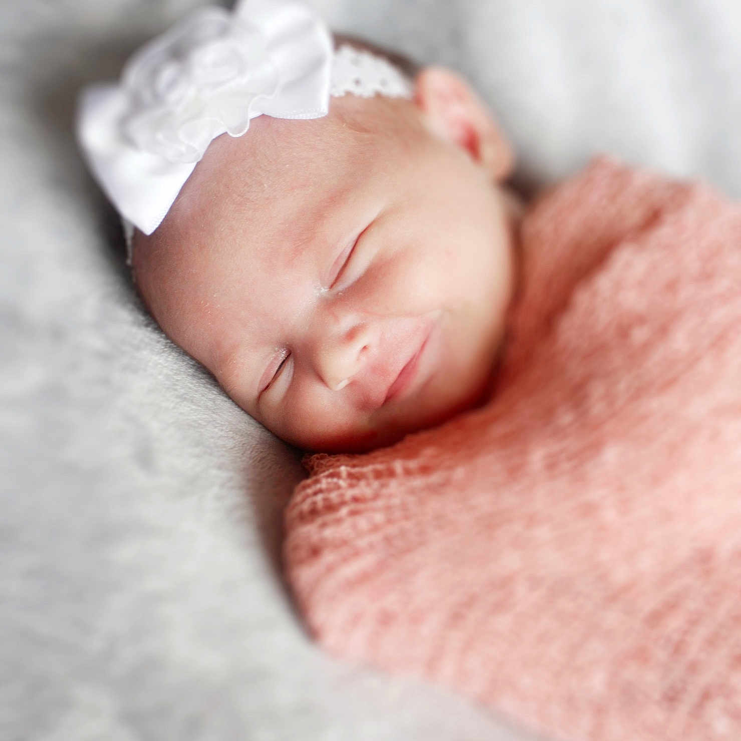 Isla