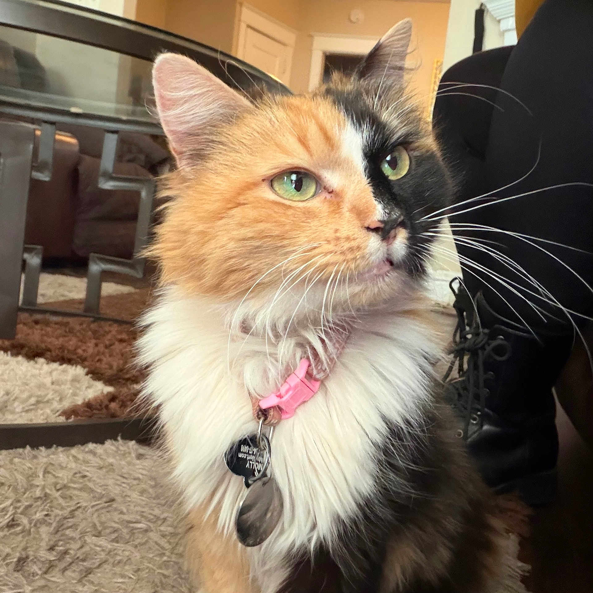 Molly