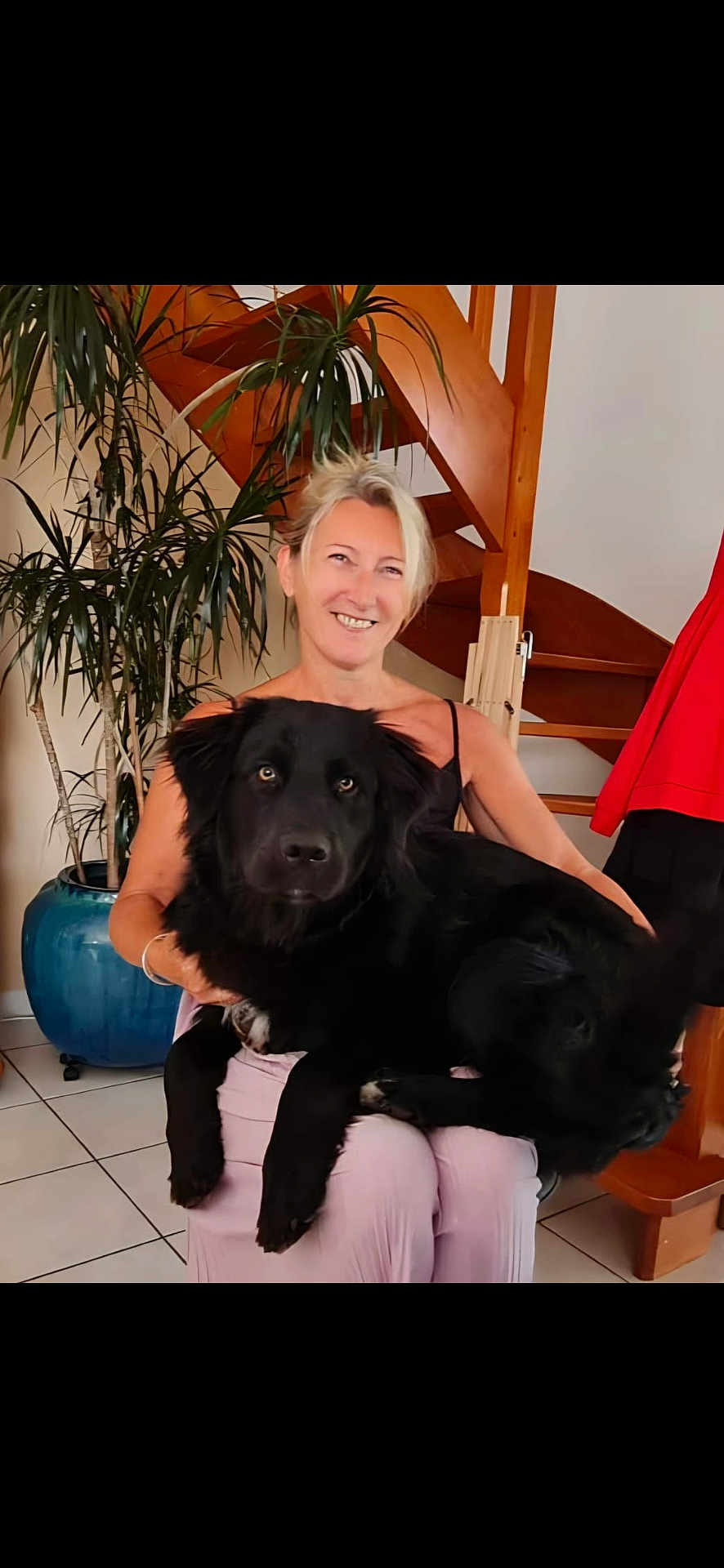 Camerone participe au concours pour gagner de l'argent avec cette photo : woman, dog, black_dog, indoor, smiling, plant, wooden_stairs, pot, tile_floor, casual_clothing, sitting, pet, happy, home, living_room, blonde_hair, large_dog, friendly, relaxed, portrait