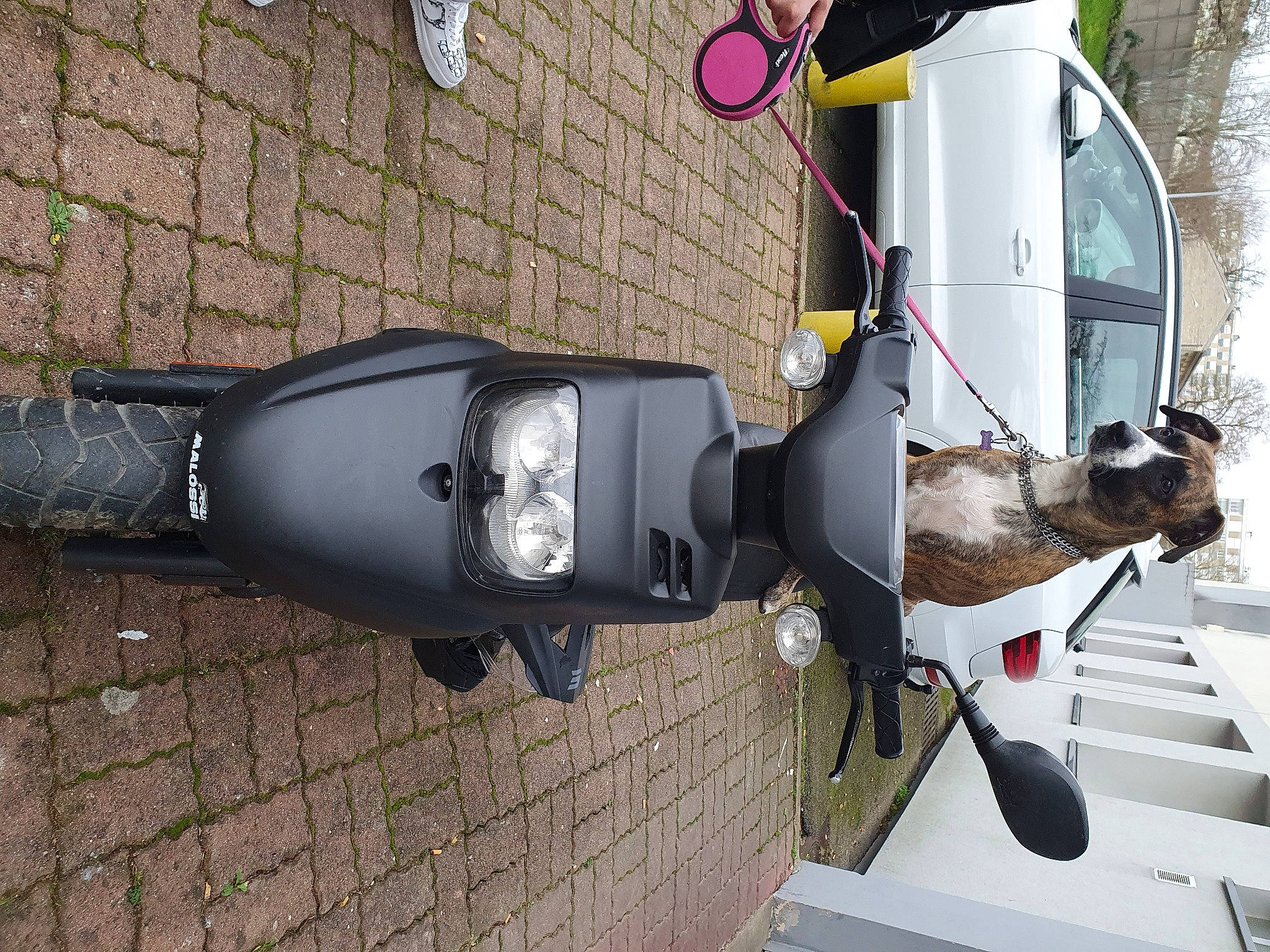 Poushka a rejoint le concours — aidez-le/la à gagner de superbes lots ! automotive_design, automotive_exhaust, automotive_exterior, automotive_lighting, automotive_mirror, automotive_tire, automotive_wheel_system, car, fender, gas, headlamp, hood, luggage_and_bags, motor_vehicle, rear_view_mirror, tire, vehicle, vehicle_door, wheel, window