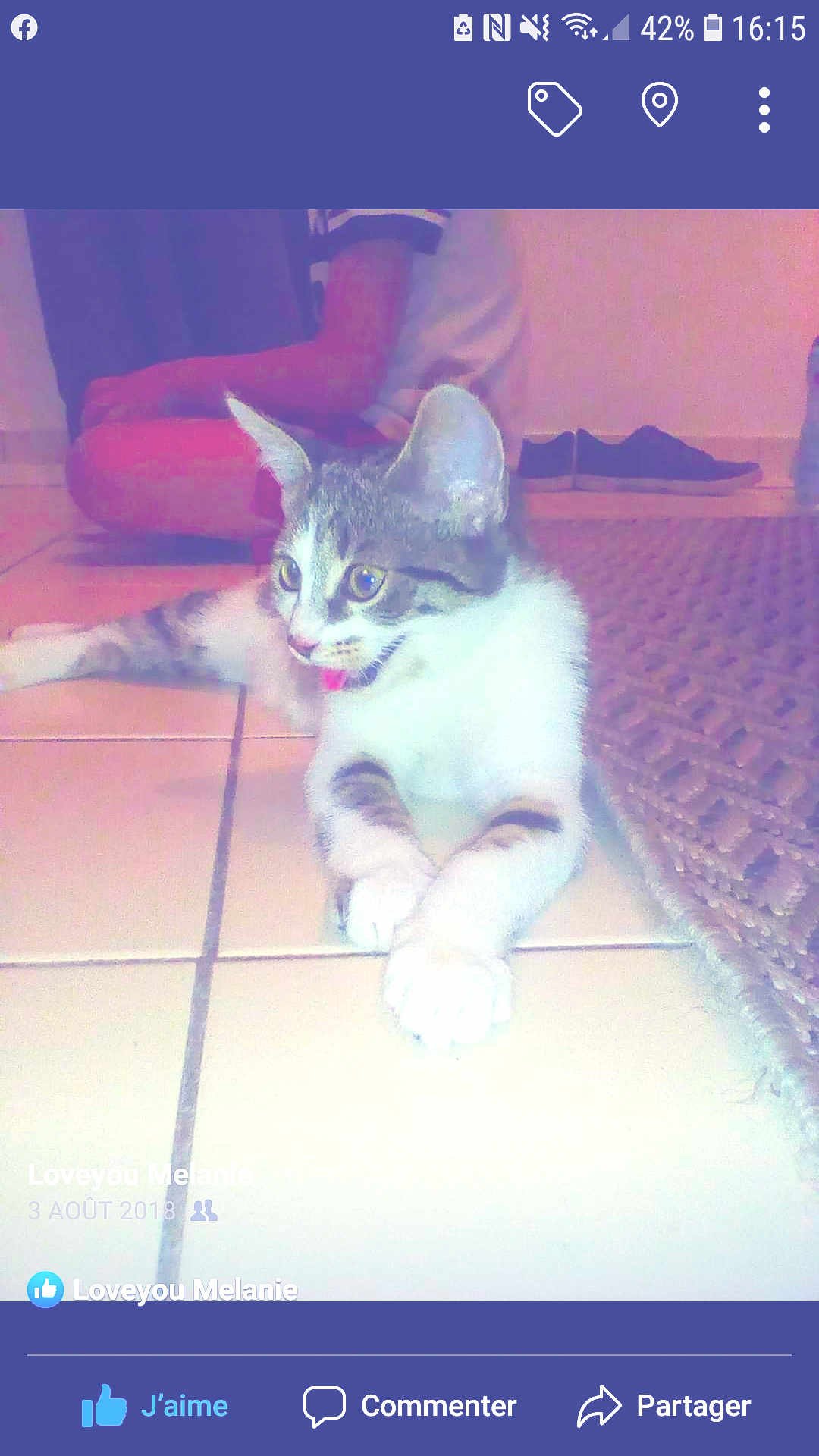 Calina