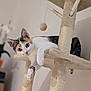 Venus participe au concours pour gagner de l'argent avec cette photo : abyssinian, animal, architecture, bookcase, cat, closet, cross, cupboard, furniture, handrail, hardwood, indoors, kitten, manx, pet, plywood, shelf, siamese, symbol, wood