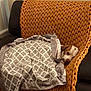 Ace joined the competition — help win amazing prizes! dog, blanket, couch, knit_blanket, orange, brown_and_white_dog, resting, cozy, indoor, furniture, sleepy, patterned_blanket, pet, relaxed, home, comfort, snuggled, laying_down, domestic_animal, warm