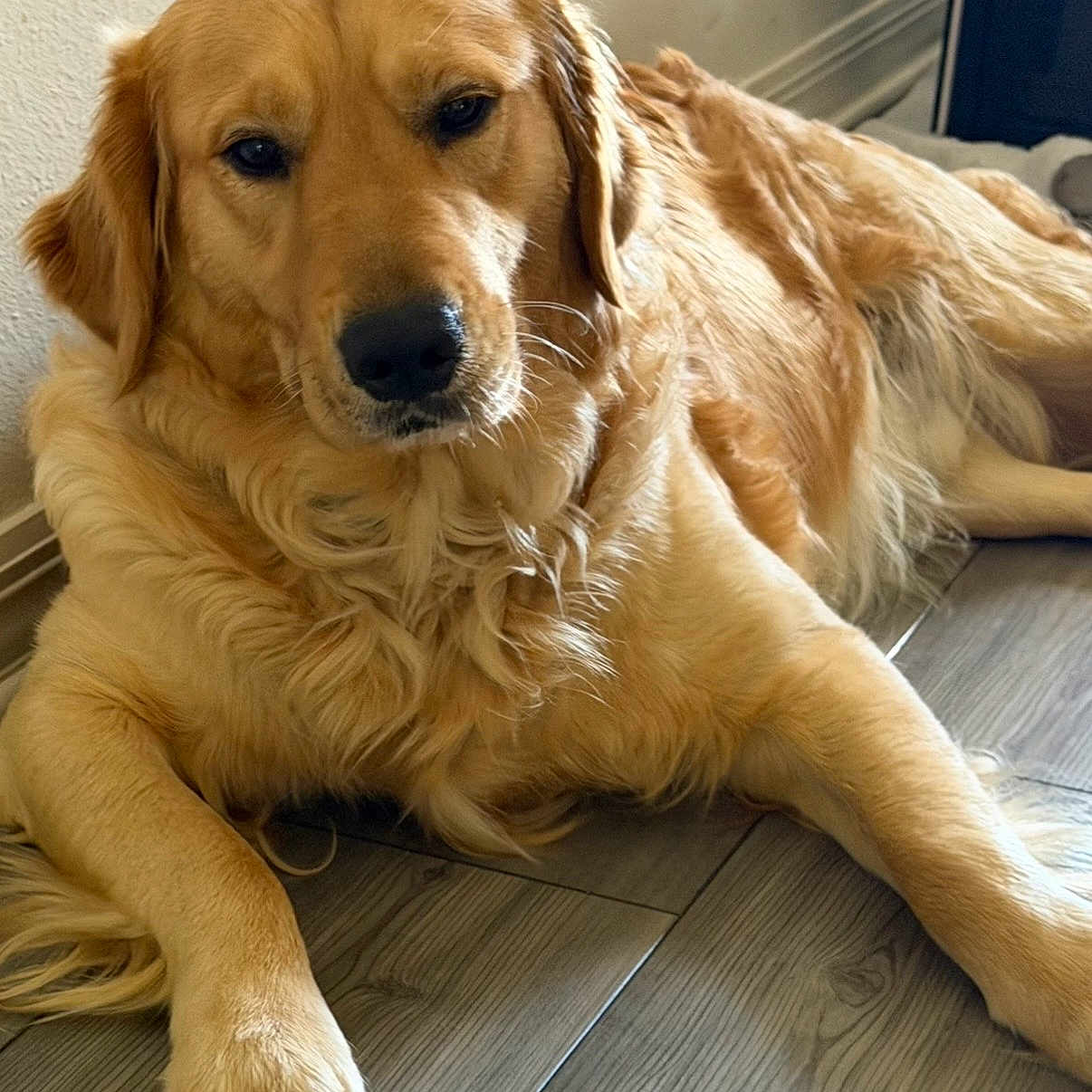 Cooper
