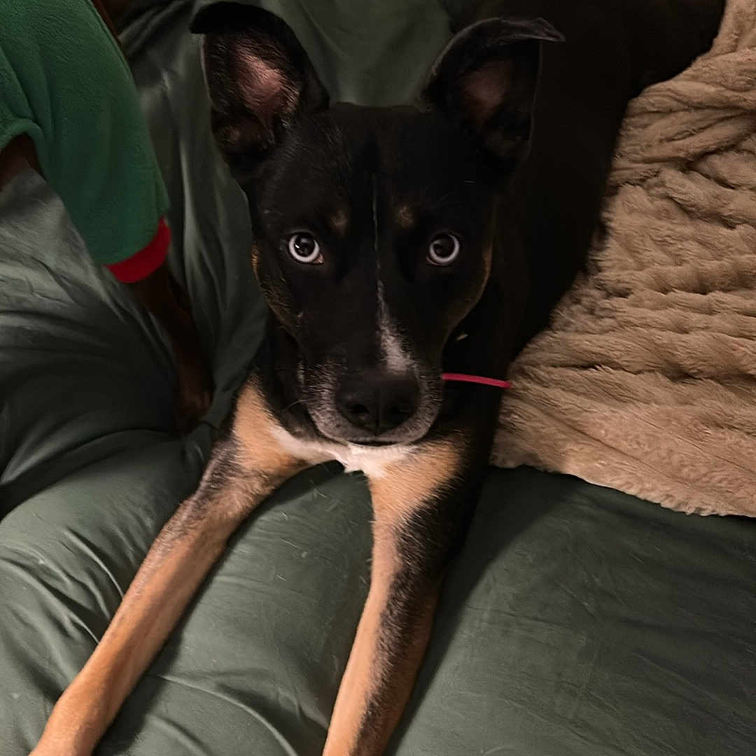 Luna