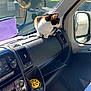 Pistache participe au concours pour gagner de l'argent avec cette photo : air_freshener, animal, black_dashboard, calico_cat, car_mirror, carpet, cat, curious, dashboard, door, glass, indoor, papers, pet, reflection, seat, sitting, sunlight, vehicle_interior, window