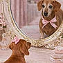 puppy, dog, mirror, reflection, pink_bow, pink_bow_tie, pink_decor, vintage, perfume_bottle, mat, cute, small_dog, indoor, decorative_mirror, table, floral, soft_colors, pet, adorable, looking