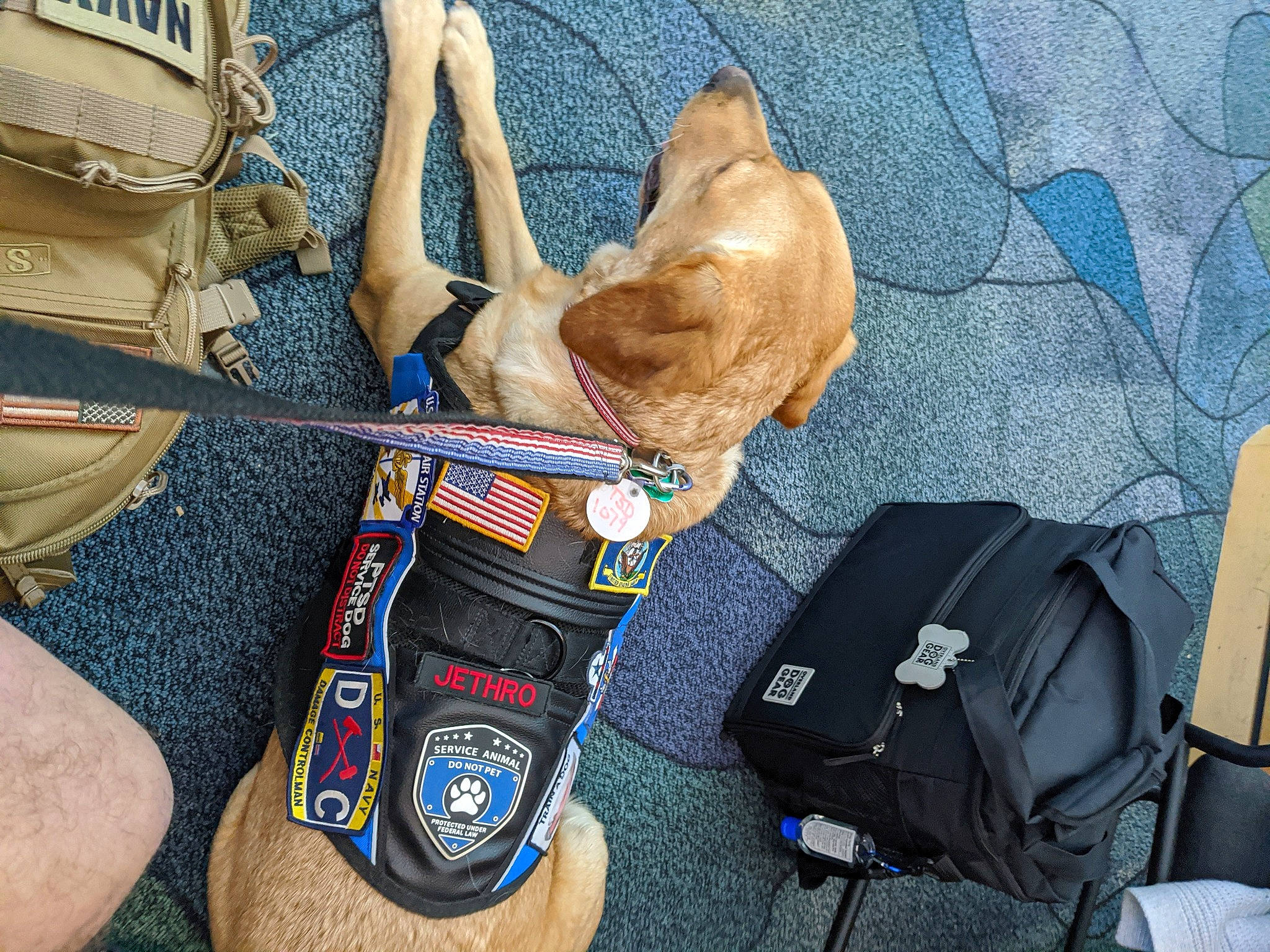 Jethro is registered to the contest to win money with this photo: gig_bag, guitar, musical_instrument, shoe