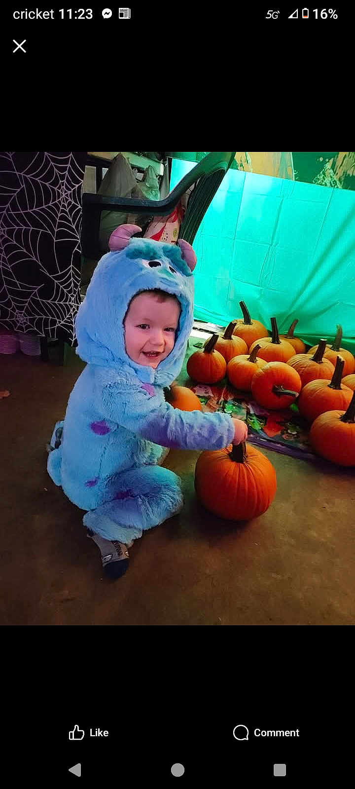 Liam Andrew is registered to the contest to win money with this photo: child, toddler, costume, blue, monster, pumpkin, halloween, indoor, smiling, floor, playful, decor, curtain, plastic_chair, fun, festive, cute, holiday, orange, young