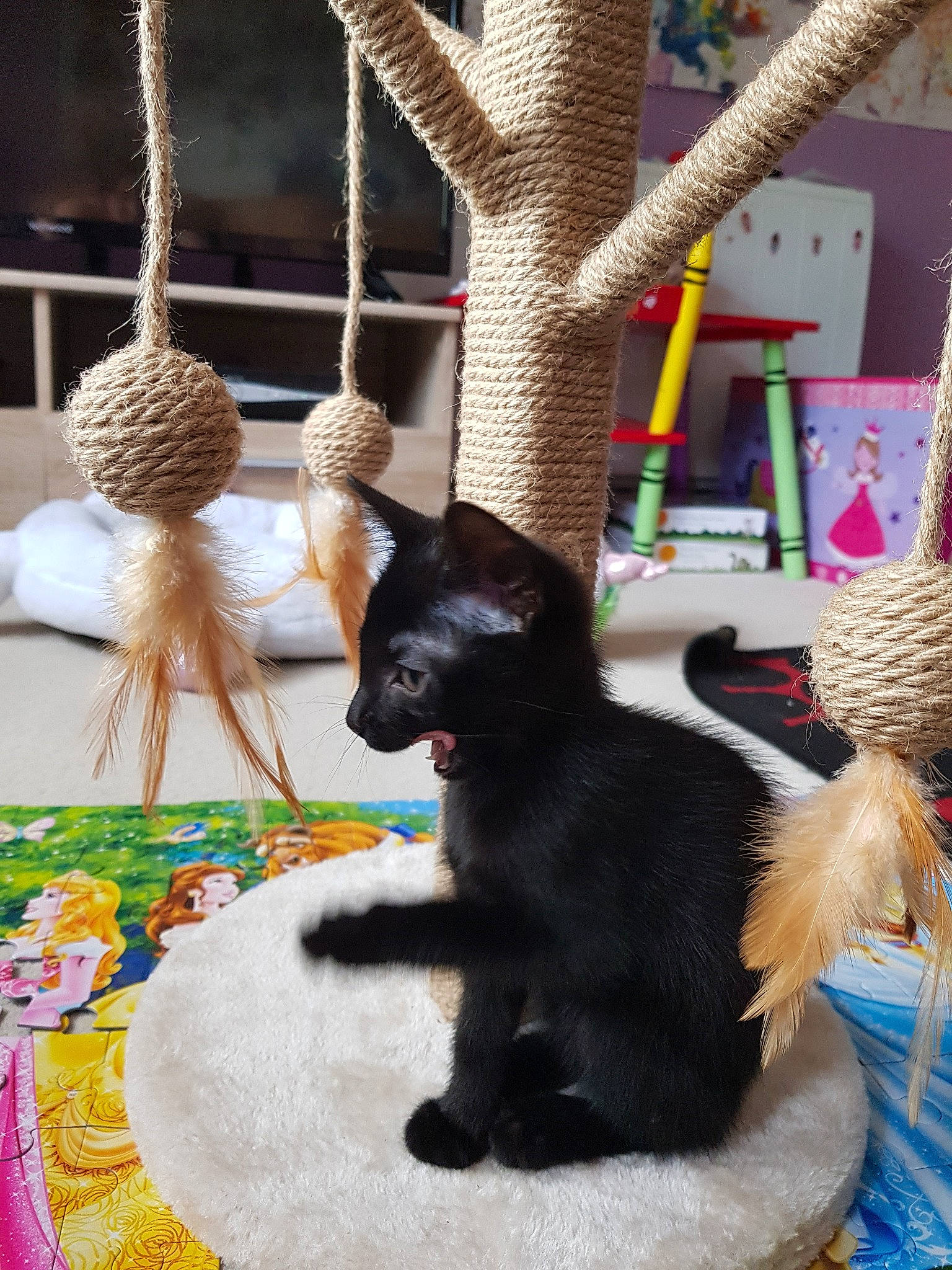 Lena is registered to the contest to win money with this photo: