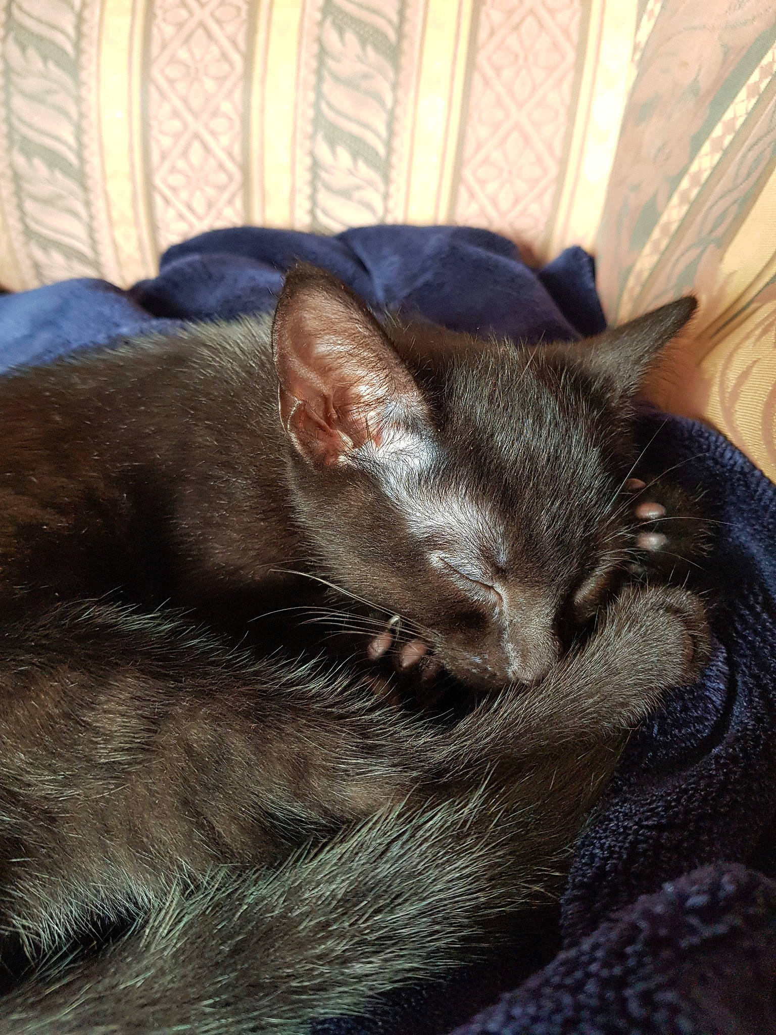 Lena joined the competition — help win amazing prizes!