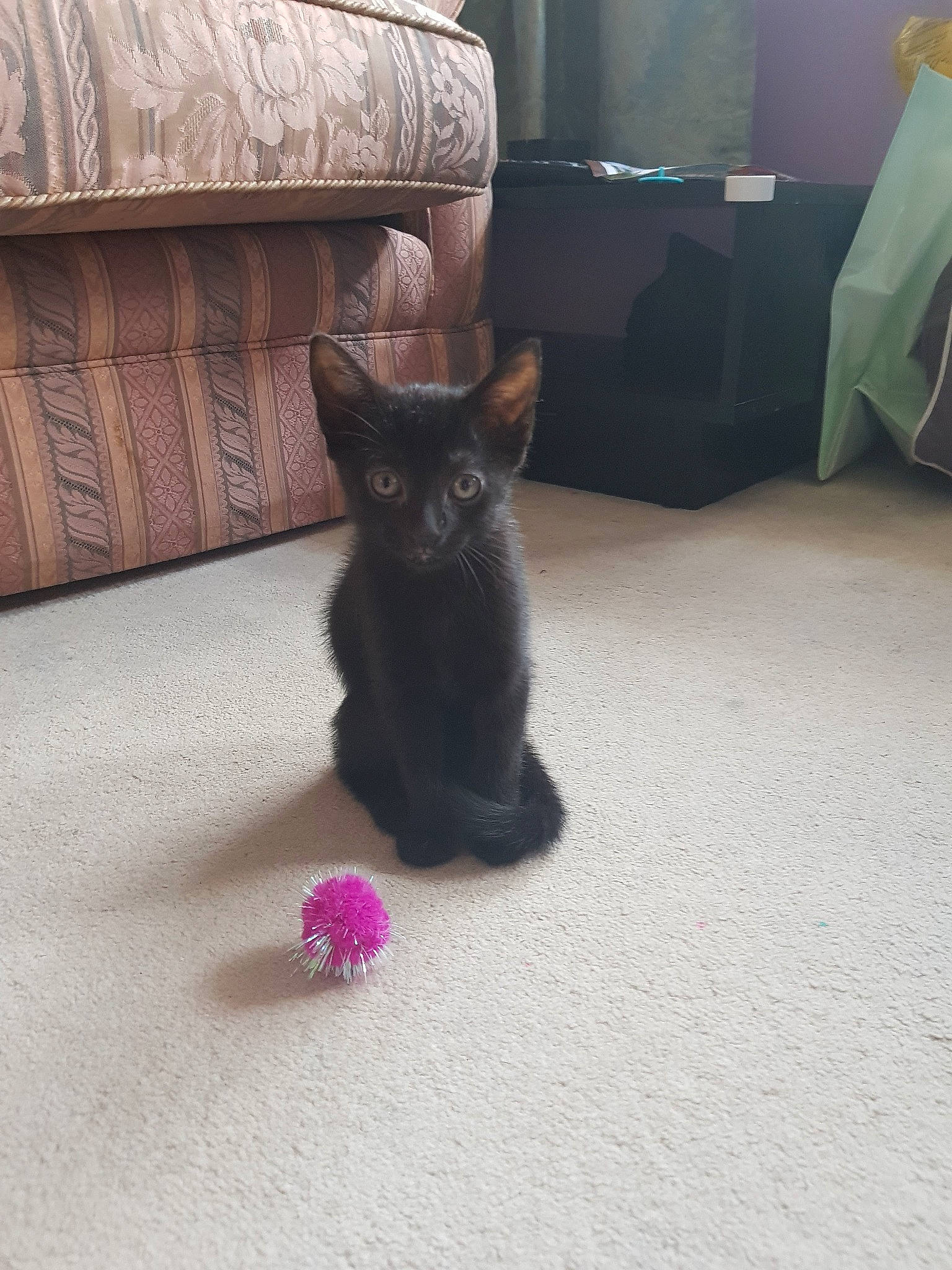 Lena joined the competition — help win amazing prizes!