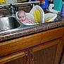 baby, sink, kitchen, bottle, pepsi, cleaning_supplies, face, countertop, cabinet, bathtub, child, infant, domestic, curious, wide_eyes, plastic_bottle, household, towel, soap, cup