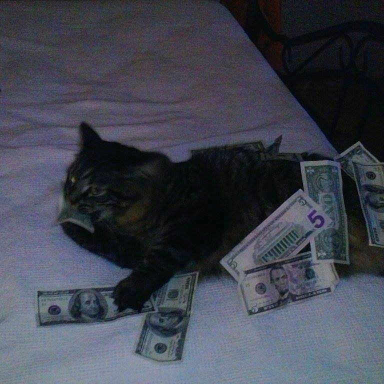 Lil Man is registered to the contest to win money with this photo: