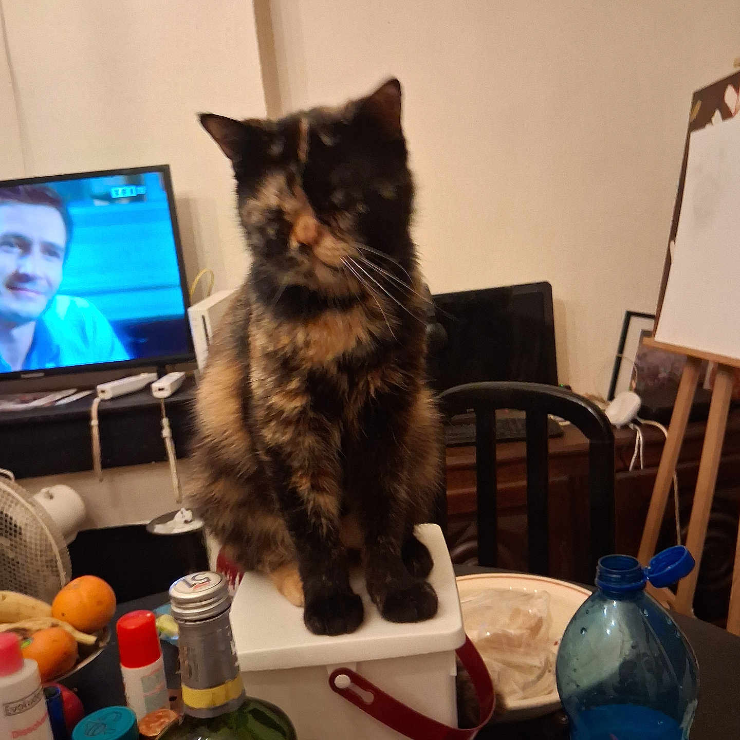 Choupette